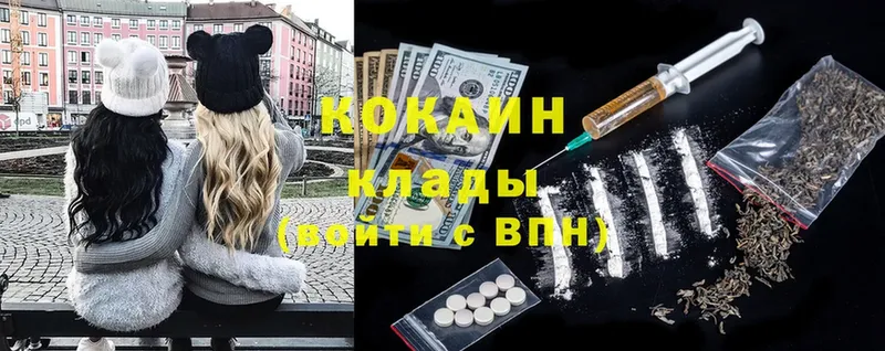 как найти наркотики  Звенигово  Cocaine Fish Scale 